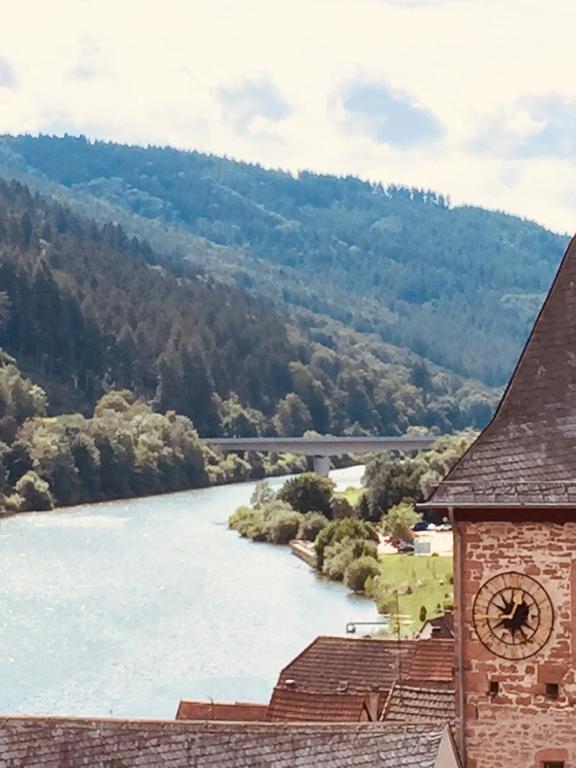 Neckarblick,Natur, Altstadt room 5