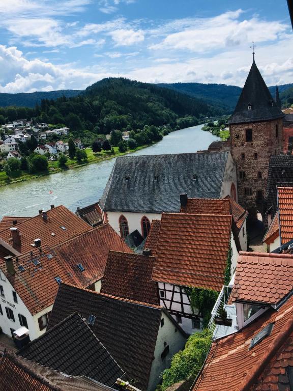 Neckarblick,Natur, Altstadt room 6